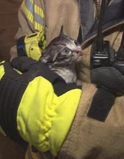 Yangında mahsur kalan yavru kediyi itfaiye erleri kurtardı