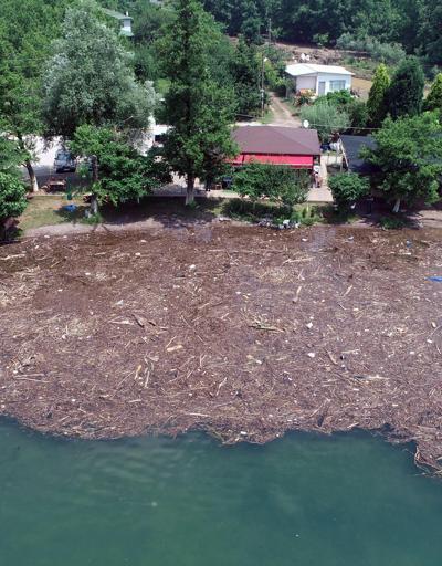 Selin sürüklediği ağaç parçaları ve çöp Sapanca Gölünü kapladı
