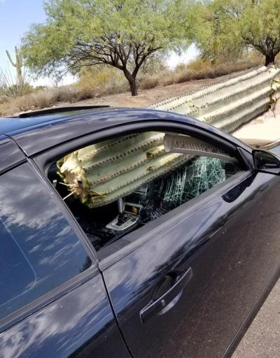 Arizonada otomobil kaktüse daldı