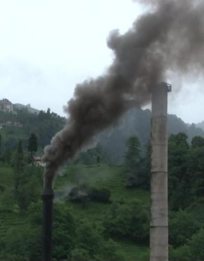 Rizedeki fabrika çevreyi kirletiyor