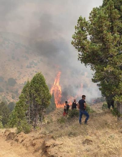 Kahramanmaraşta 5 hektar ormanlık alan yandı
