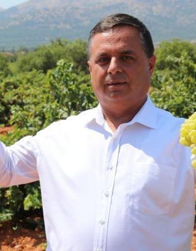 Türkiyenin şaraplık üzüm deposunda, fiyat artışı için güç birliği