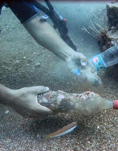 Denizler plastik şişe çöplüğüne döndü