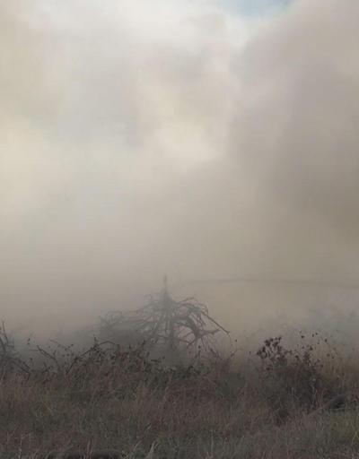 İstanbul Arnavutköyde ormanlık alanda yangın