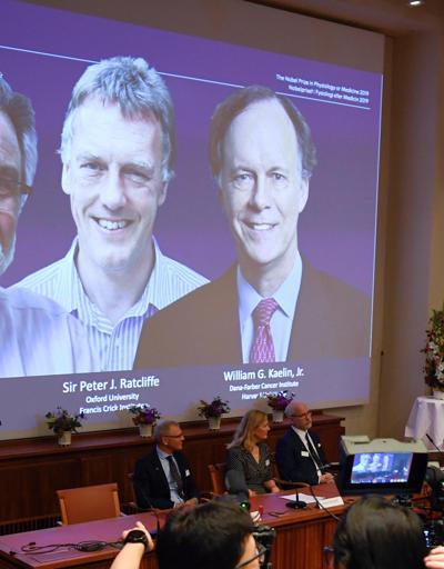 Son dakika... 2019  Nobel Tıp Ödülünü kazananlar açıklandı