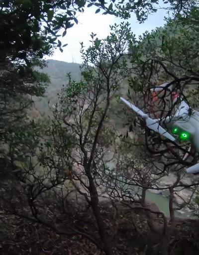Uçurumda ağaca takılan drone için hayatlarını tehlikeye attılar