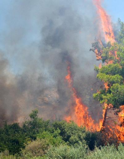 Antalyada orman yangını bilançosu: 233 hektar alan kül oldu