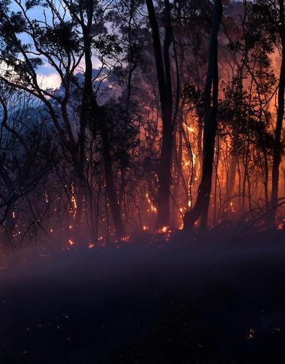 Avustralya’da orman yangınları büyüyor