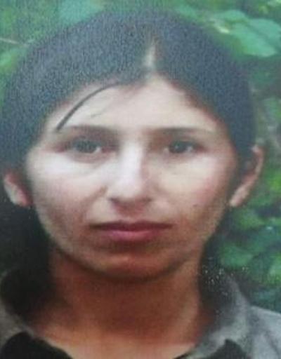 PKKnın sözde Dersim eyaleti konsey üyesi sağ yakalandı