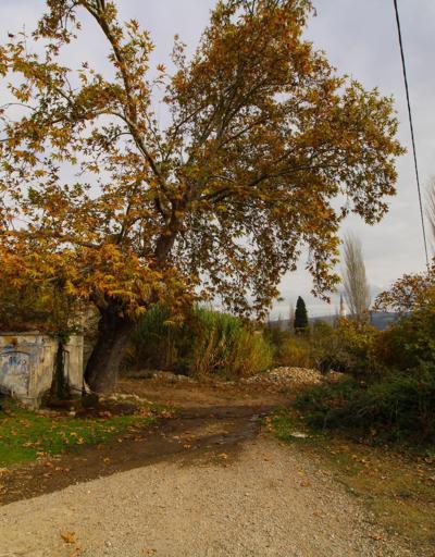 Gördes’te kartpostallık sonbahar manzaraları