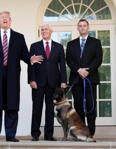 Trump, o köpeğe madalya verdi