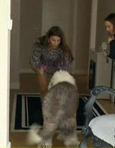 Ebru Şancı: Bir köpeğimin fön ve yıkama bedeli 150 TL