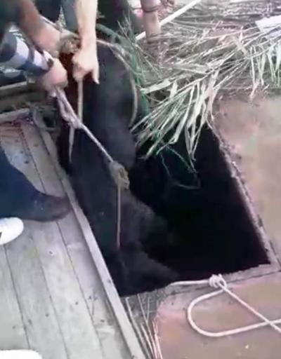Köpeğini kurtarmak isterken kuyuda mahsur kaldı
