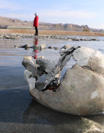 Van Gölünde insan kemikleri bulundu