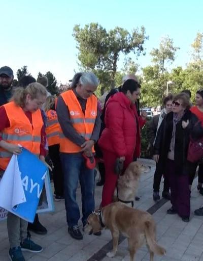 Antalyada sokak hayvanları için eylem