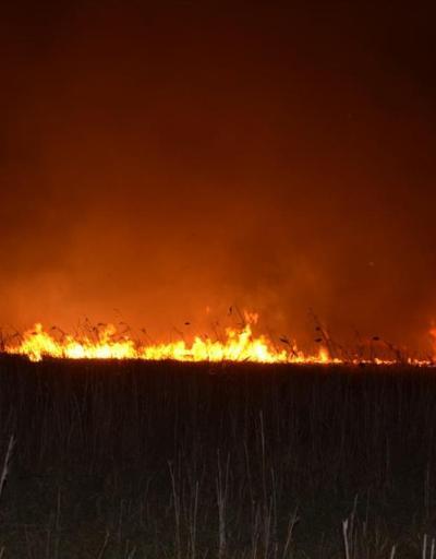 İznik Gölü kıyısında korkutan yangın