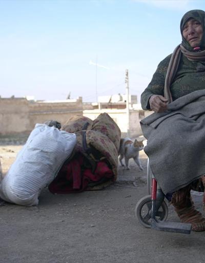 Kedilerin annesi İdlibdeki bombardımandan tekerlekli sandalyesiyle kaçtı