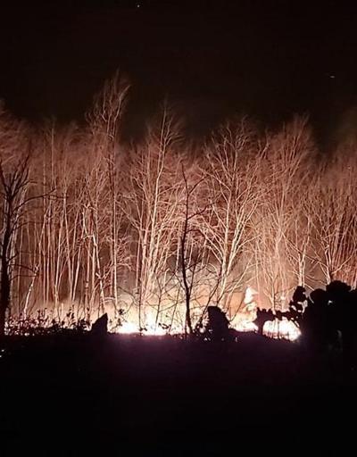 Trabzonda orman yangını