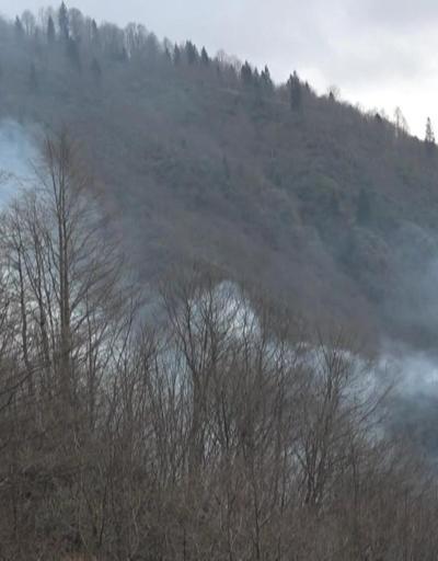 Orman yangınları 65 saatte söndürüldü