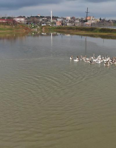 Başakşehirde Küçük Şamlar Gölü 2 milyona satılığa çıktı