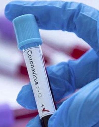 ABDden koronavirüs aşısı açıklaması: Farelerde denemeye başladık