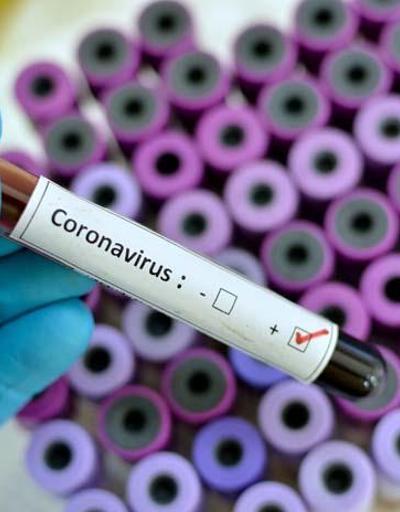 Koronavirüs koku ve tat alma kaybına da yol açıyor