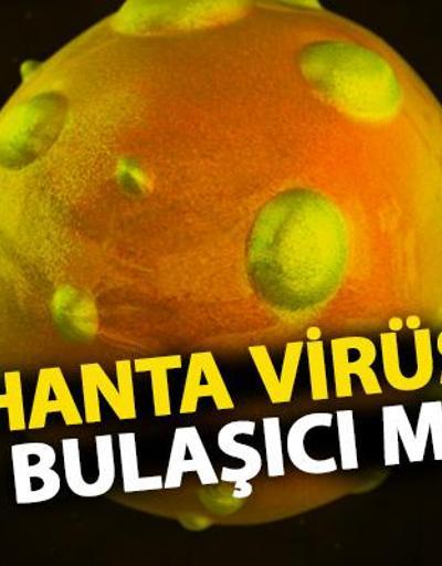 Çinde hantavirüs paniği Hanta virüsü nedir, bulaşıcı mı