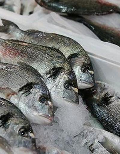 Koronavirüse karşı sağlıklı beslenmek için balık tüketim kampanyası