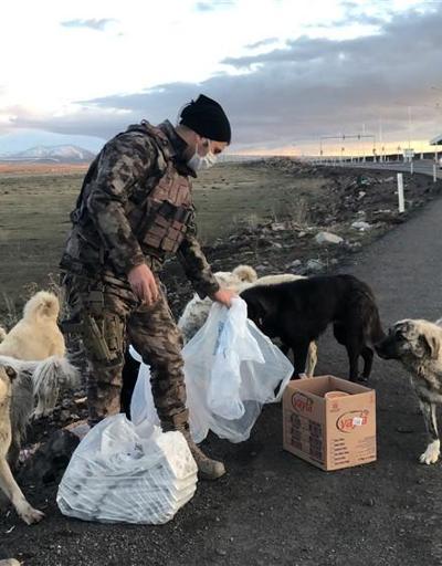 Aç kalan sokak hayvanlarını polis besledi
