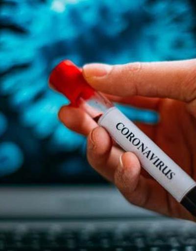 Koronavirüse karşı bitkisel ilaç Seri üretime hemen başlayacağız