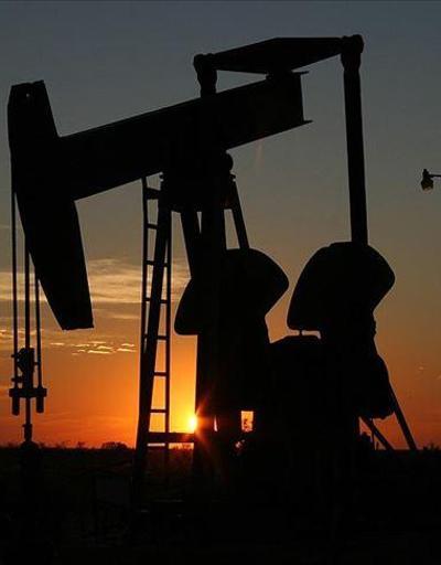 Rusyadan petrol fiyatlarındaki düşüşe ilişkin açıklama