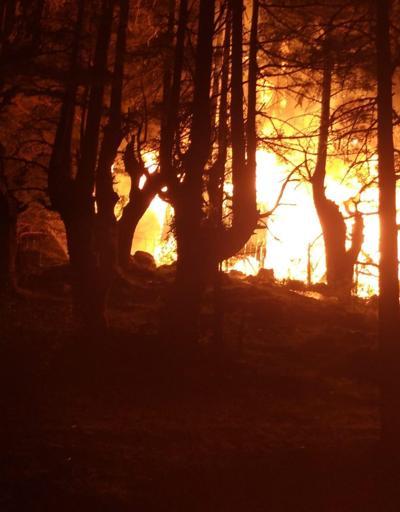 Ahşap evde çıkan yangın ormana sıçradı