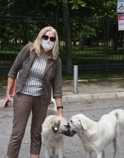 HAYTAP: Türkiyeyi eleştiren ülkeler hayvanları gaz odalarına gönderiyor