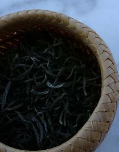 Şifa deposu beyaz çay kilosu 4 bin 500 TLden satılıyor