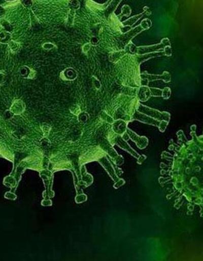Koronavirüs eksi 20 derecede 20 yıl yaşayabiliyor