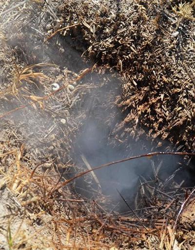 Toprak altından çıkan duman köylüleri endişelendirdi | Video