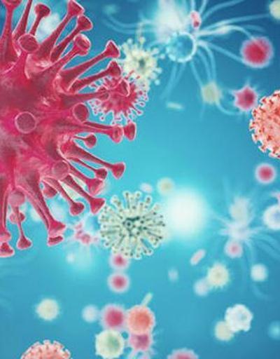 Koronavirüsün tehdit ettiği risk grupları güncellendi