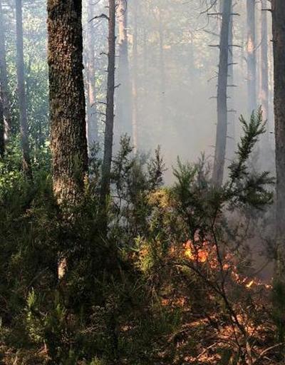 Çanakkalede orman yangını