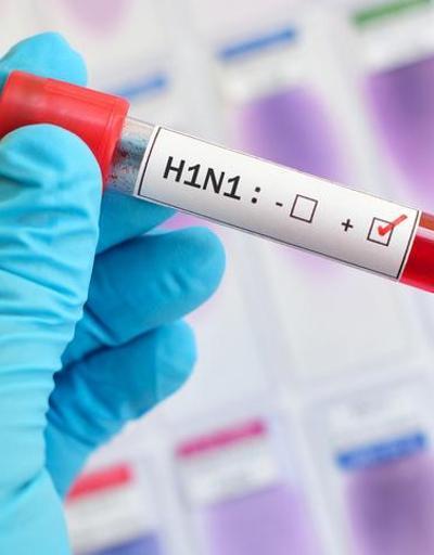 Çin’de yeni virüs paniği: G4 H1N1 domuz gribi nedir Pandemik potansiyele sahip