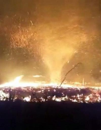 Son dakika: Orman yangınında oluşan ateş hortumu görüntülendi | Video