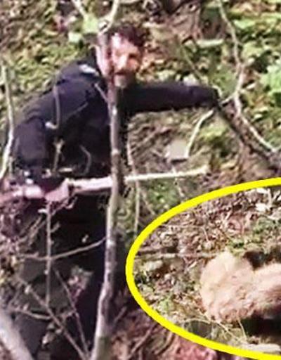 Artvinde yavru ayıyı vurdular: Tepki çeken olayda son dakika gelişmesi | Video