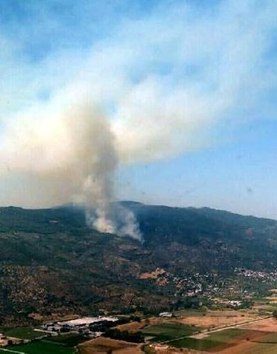 Son dakika... Efelerde 4 hektarlık zeytinlik ve ormanlık alan yangında zarar gördü