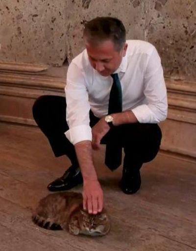 Vali Yerlikayadan Ayasofyanın ünlü kedisi Gli ile ilgili açıklama | Video