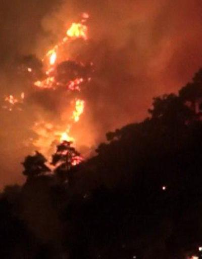 İzmir ve Manisada orman yangını	| Video