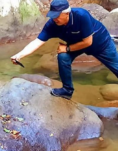 Son dakika... Küre Dağları Milli Parkı’nda küpeli su yılanı görüldü