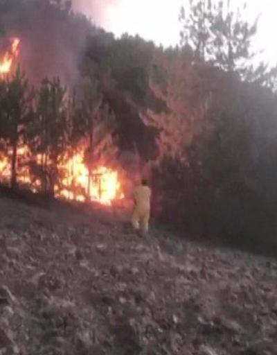 Nallıhanda yine orman yangını | Video