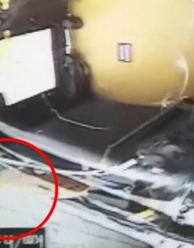 Son Dakika Haberler: Kafesinden kaçan kedi otobüsü birbirine kattı | Video
