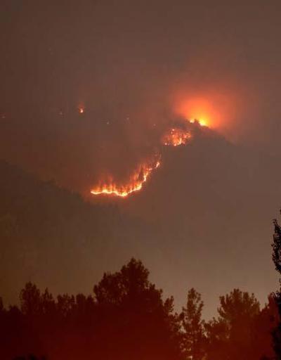 Adanada orman yangını sürüyor