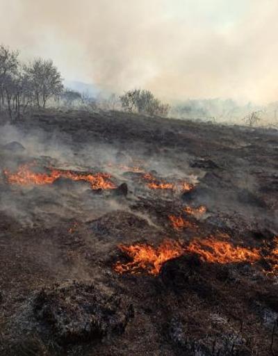 Son Dakika Haberler: Kızılırmak Deltası Kuş Cennetinde yangın | Video