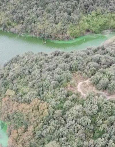 Göle kimyasal atık boşaltıldı | Video